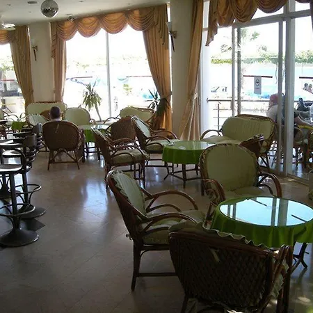 Orion Didim