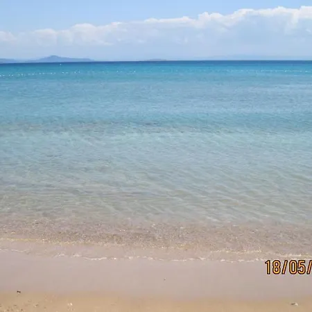 Orion מלון דידים