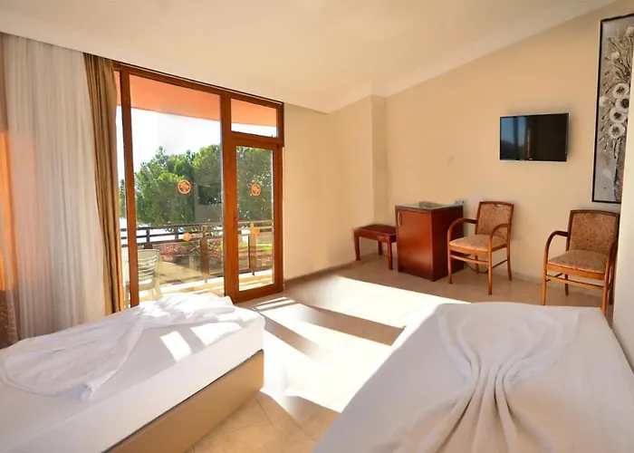 Orion 3* ディディム