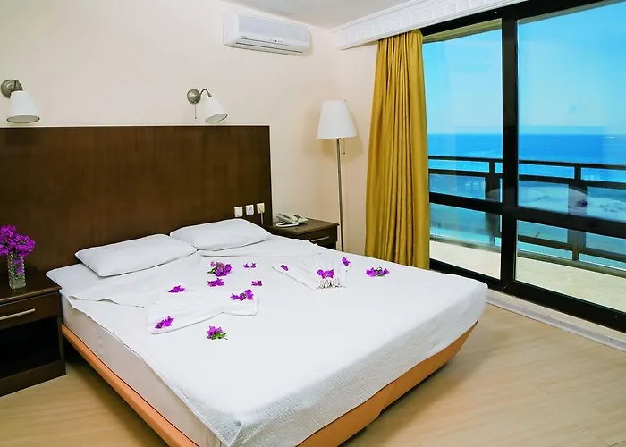 Orion ディディム