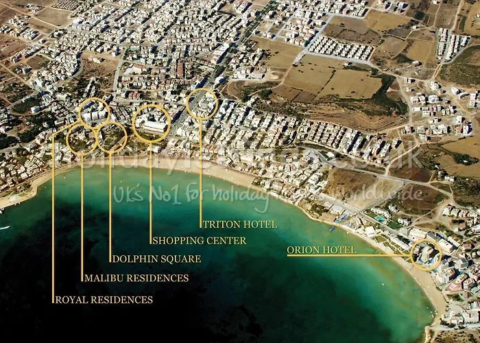 Orion ディディム