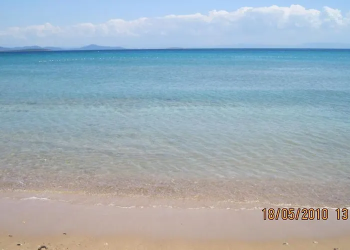 Orion ホテル ディディム